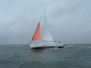 Oleu Gale Sail Orange