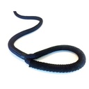 PremiumRopes Dockline - 10mm rope