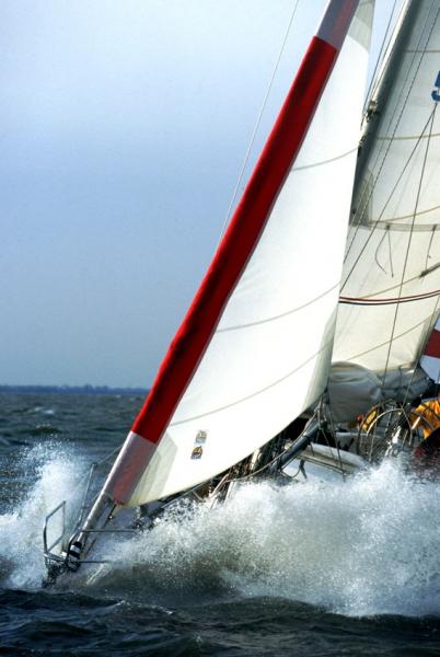 Oleu Gale Sail - weiß