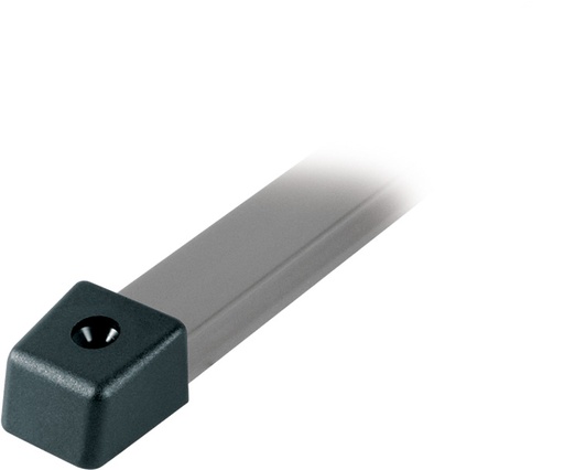 [R-RC12280] Ronstan Serie 22 Tapa de extremo, plástico, 30mm x 27mm